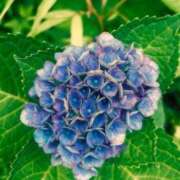 ヒメ日記 2025/06/24 07:24 投稿 紗蘭 東京人妻フォーシーズンズ