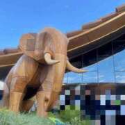 ヒメ日記 2025/06/23 20:55 投稿 あさみ 新大阪秘密倶楽部