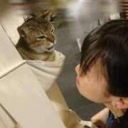 ヒメ日記 2026/01/01 15:56 投稿 るみ 吉祥寺角海老