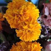 ヒメ日記 2025/06/01 07:13 投稿 一条かんな 五十路マダムセレブリティ横浜店（カサブランカグループ）