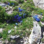 ヒメ日記 2025/06/03 10:01 投稿 一条かんな 五十路マダムセレブリティ横浜店（カサブランカグループ）