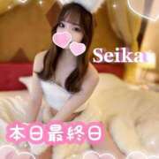 ヒメ日記 2025/05/14 12:33 投稿 夏海せいか SCREEN(スクリーン)