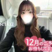 ヒメ日記 2025/12/03 08:33 投稿 夏海せいか SCREEN(スクリーン)