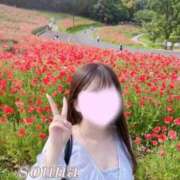 ヒメ日記 2026/05/12 07:32 投稿 蒼那-そうな- 人妻倶楽部 花椿北上店
