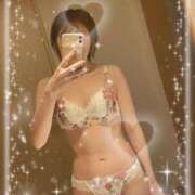 ヒメ日記 2025/09/28 14:12 投稿 東條しほ シロガネーゼ