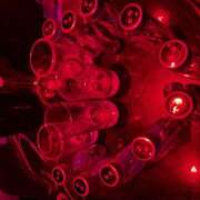 ヒメ日記 2025/07/08 22:19 投稿 ちゃむ banana