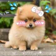 ヒメ日記 2025/05/16 12:00 投稿 よしみ 大和人妻城