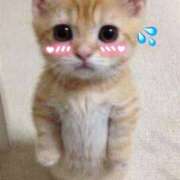 ヒメ日記 2025/05/18 12:36 投稿 よしみ 大和人妻城