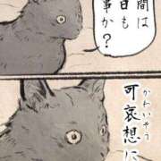 ヒメ日記 2025/05/27 16:09 投稿 夏目ユエ シルクハット