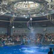 ヒメ日記 2025/10/09 20:09 投稿 りん ウルトラドリーム