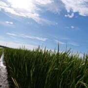 ヒメ日記 2025/05/17 16:13 投稿 MANAKA どこかのＯＬさん達