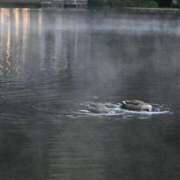 ヒメ日記 2025/05/18 20:03 投稿 MANAKA どこかのＯＬさん達