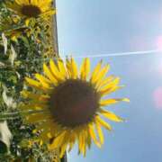 ヒメ日記 2025/05/21 17:40 投稿 MANAKA どこかのＯＬさん達