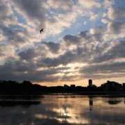 ヒメ日記 2025/05/24 13:49 投稿 MANAKA どこかのＯＬさん達