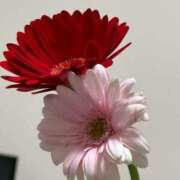 ヒメ日記 2025/05/24 14:55 投稿 MANAKA どこかのＯＬさん達