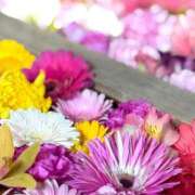 ヒメ日記 2025/05/28 13:09 投稿 MANAKA どこかのＯＬさん達