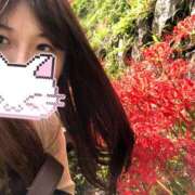 ヒメ日記 2025/06/02 11:34 投稿 MANAKA どこかのＯＬさん達