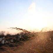 ヒメ日記 2025/06/05 13:38 投稿 MANAKA どこかのＯＬさん達