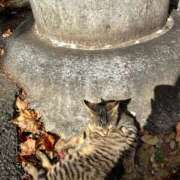 ヒメ日記 2025/06/08 13:06 投稿 MANAKA どこかのＯＬさん達