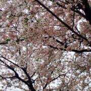 ヒメ日記 2025/06/11 20:04 投稿 MANAKA どこかのＯＬさん達