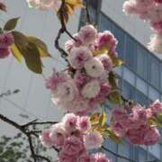 ヒメ日記 2025/07/28 11:55 投稿 MANAKA どこかのＯＬさん達