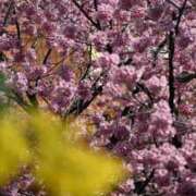 ヒメ日記 2025/09/03 13:45 投稿 MANAKA どこかのＯＬさん達