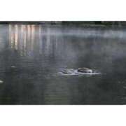 ヒメ日記 2025/09/22 22:15 投稿 MANAKA どこかのＯＬさん達