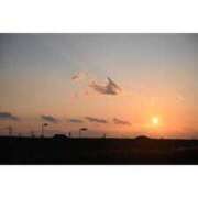 ヒメ日記 2025/09/29 12:55 投稿 MANAKA どこかのＯＬさん達