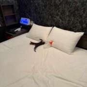 ヒメ日記 2026/04/04 16:45 投稿 MANAKA どこかのＯＬさん達