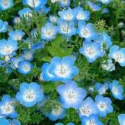 ヒメ日記 2025/06/04 23:10 投稿 YUI どこかのＯＬさん達