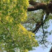 ヒメ日記 2025/06/15 15:11 投稿 YUI どこかのＯＬさん達