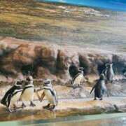 ヒメ日記 2025/08/16 13:55 投稿 YUI どこかのＯＬさん達