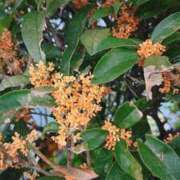 ヒメ日記 2025/10/23 18:43 投稿 YUI どこかのＯＬさん達