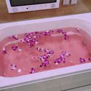 ヒメ日記 2025/11/03 17:42 投稿 YUI どこかのＯＬさん達