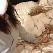 ヒメ日記 2025/12/28 11:37 投稿 YUI どこかのＯＬさん達