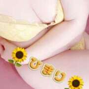 ヒメ日記 2025/05/02 12:25 投稿 日葵　ひまり（30） 出会い系人妻ネットワーク 熊谷編