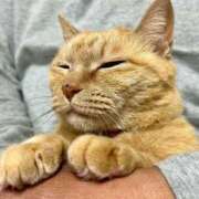 ヒメ日記 2025/05/05 15:42 投稿 YORU どこかのＯＬさん達