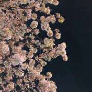 ヒメ日記 2025/05/23 21:07 投稿 YORU どこかのＯＬさん達