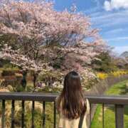 ヒメ日記 2025/05/25 13:39 投稿 YORU どこかのＯＬさん達