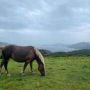 ヒメ日記 2025/08/29 21:08 投稿 YORU どこかのＯＬさん達