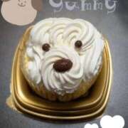 ヒメ日記 2025/11/03 15:42 投稿 はなえ 錦糸町ちゃんこ