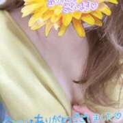 ヒメ日記 2026/06/18 16:20 投稿 あおい 甲府人妻城