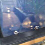 ヒメ日記 2025/05/03 11:20 投稿 るか 待ちナビ