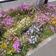 ヒメ日記 2025/05/24 10:35 投稿 るか 待ちナビ