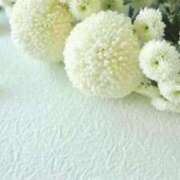 ヒメ日記 2025/06/09 13:52 投稿 るか 待ちナビ