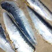 ヒメ日記 2025/07/11 14:55 投稿 るか 待ちナビ