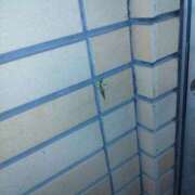 ヒメ日記 2025/08/20 18:03 投稿 るか 待ちナビ