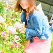 ヒメ日記 2025/10/28 10:25 投稿 るか 待ちナビ