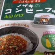 ヒメ日記 2025/11/01 12:37 投稿 るか 待ちナビ