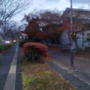 ヒメ日記 2025/12/14 16:13 投稿 るか 待ちナビ